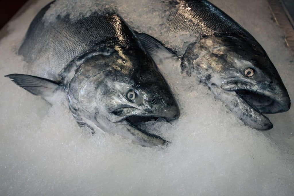 conserver poisson frais